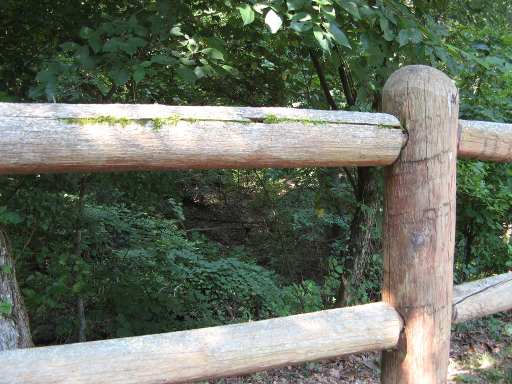 Fence Rail