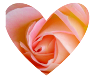 Heart shaped rose design
