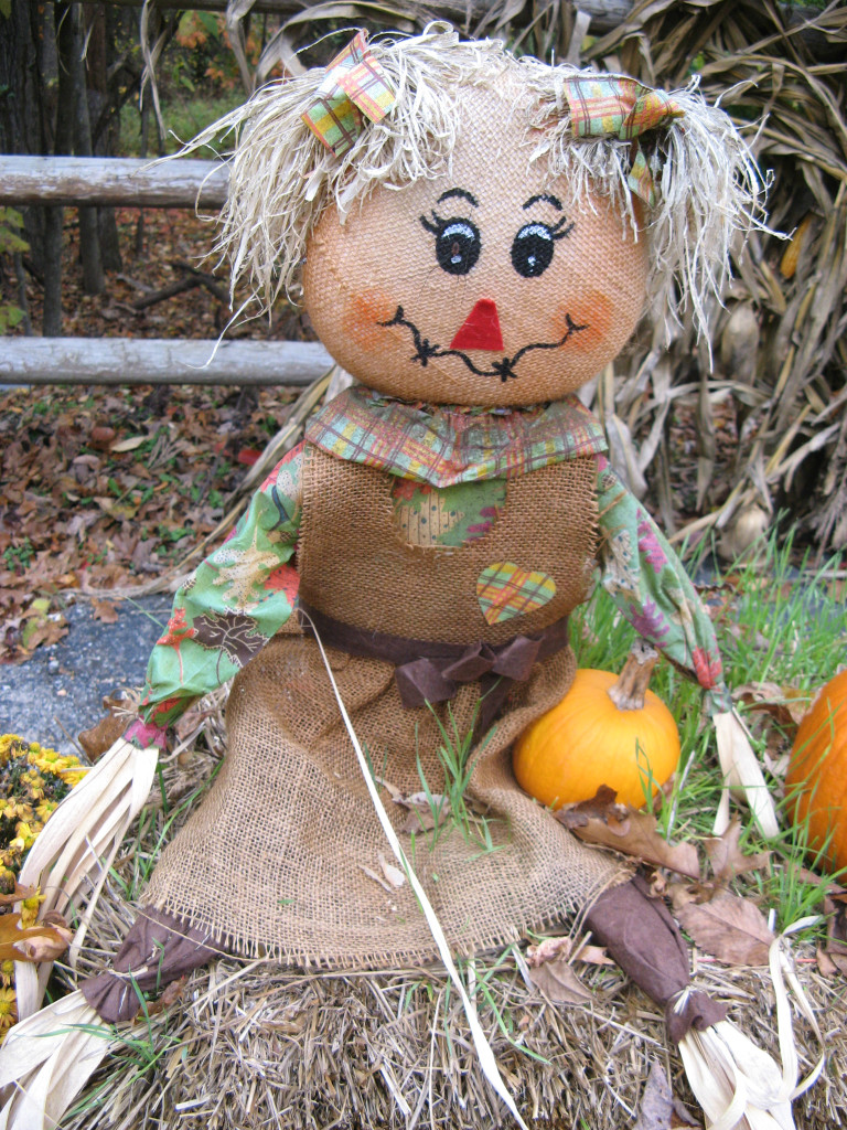 Scarecrow Lady