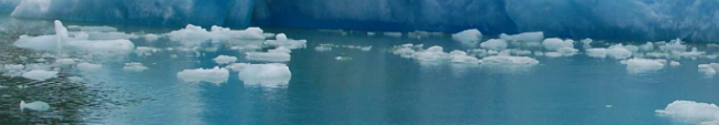 Iceberg scene