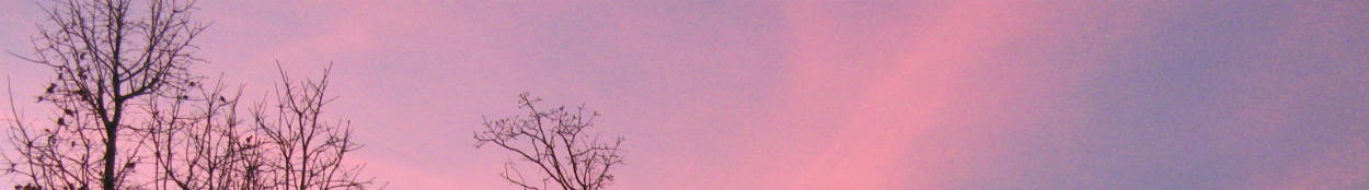Pink and blue winter sky
