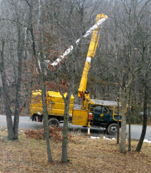 Tree trimmers on a country road