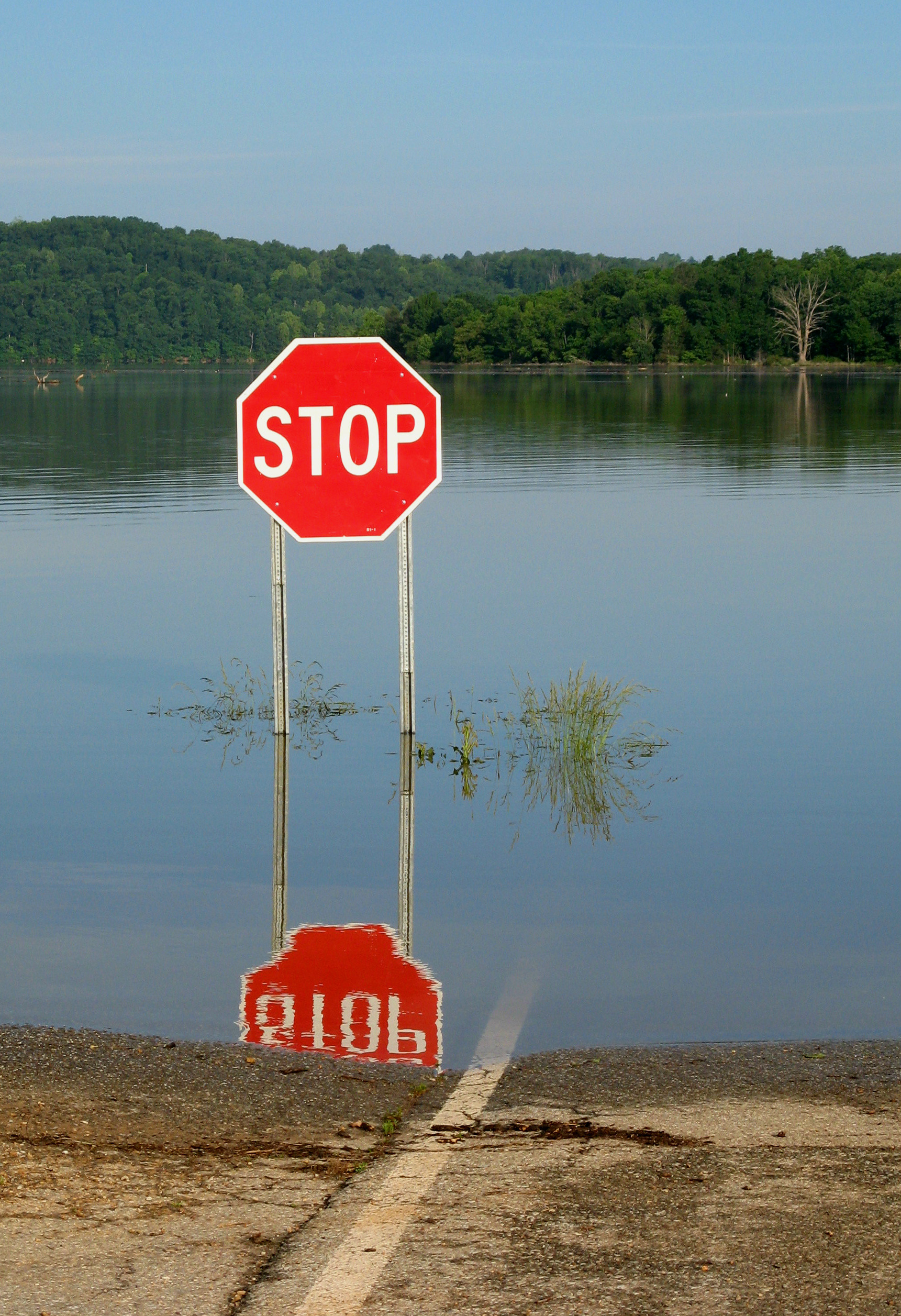 Stop sign partially submerged at lake